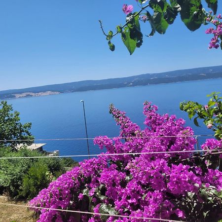 Apartments Coko Omis Bilik gambar