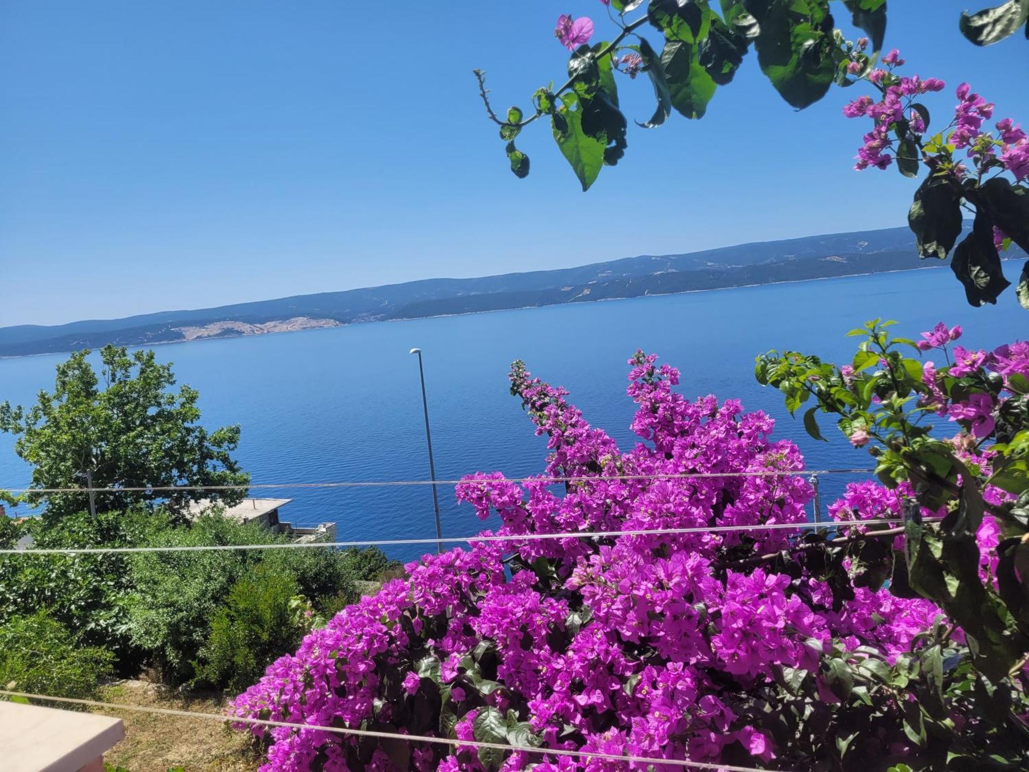 Apartments Coko Omis Bilik gambar